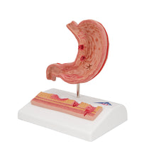 Primary Image Link