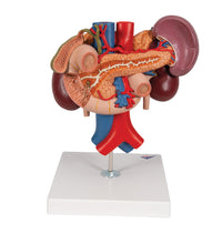 Primary Image Link