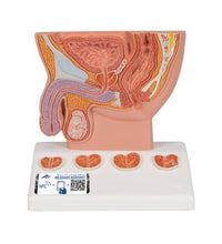 Primary Image Link