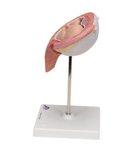 Primary Image Link