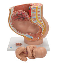 Primary Image Link