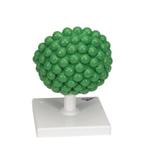 Primary Image Link
