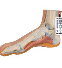 Primary Image Link