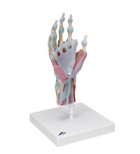 Primary Image Link