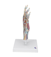 Primary Image Link