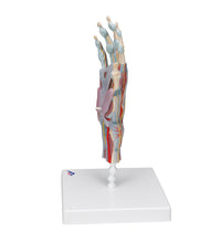 Primary Image Link