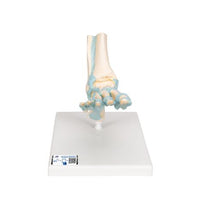 Primary Image Link