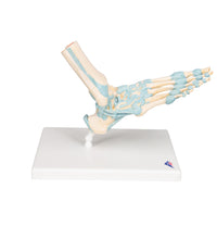 Primary Image Link