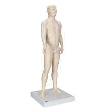 Primary Image Link