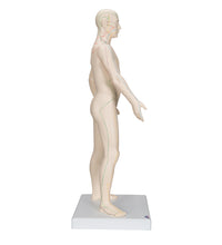Primary Image Link