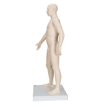 Primary Image Link