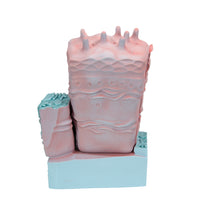 Primary Image Link