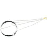 Primary Image Link