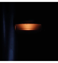 Primary Image Link