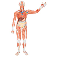 Primary Image Link
