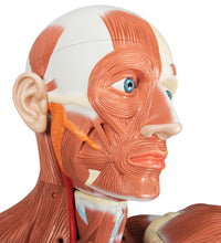 Primary Image Link