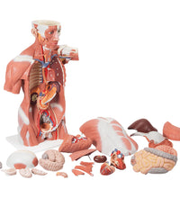 Primary Image Link