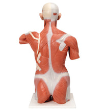 Primary Image Link