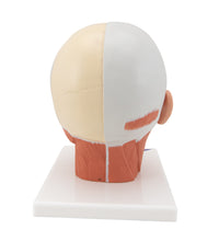 Primary Image Link