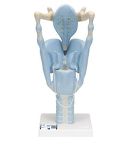 Primary Image Link
