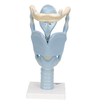 Primary Image Link
