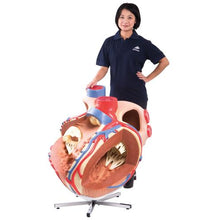 Primary Image Link