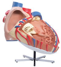 Primary Image Link