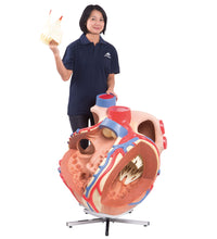 Primary Image Link