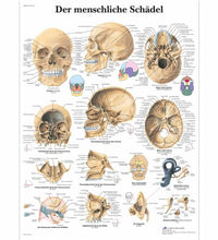 Primary Image Link