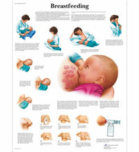 Primary Image Link