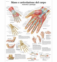 Primary Image Link