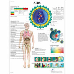 AIDS, 50x67 cm, Laminado