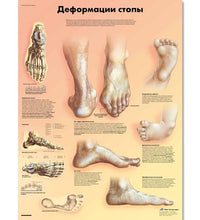 Primary Image Link