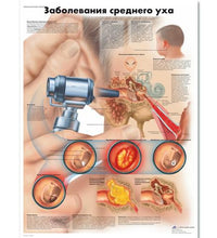 Primary Image Link