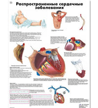 Primary Image Link