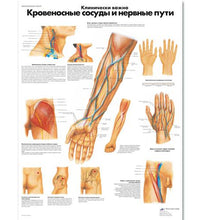 Primary Image Link