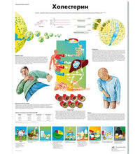 Primary Image Link