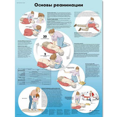 Basic Life Support Chart