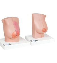 Primary Image Link