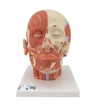Primary Image Link