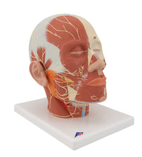 Primary Image Link