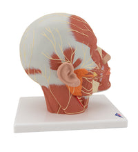 Primary Image Link