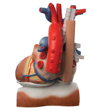 Primary Image Link