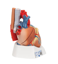Primary Image Link