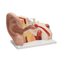 Primary Image Link