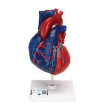 Primary Image Link