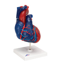 Primary Image Link