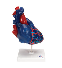 Primary Image Link
