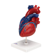 Primary Image Link