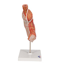 Primary Image Link